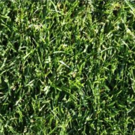 Стандартный Нью (New)