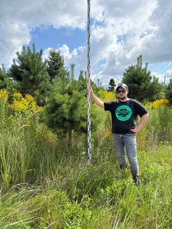 Сосна Пиния П3 Высота 200-250 см, St 80 см, ряд 1/11