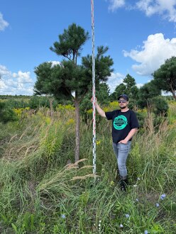 Сосна Пиния П3 Высота 300-350 см, St 180 см, ряд 8/32