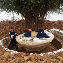 Ель обыкновенная Пицея абиес (Picea abies) крупномер