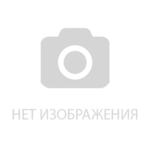 Спирея японская "Little Princess"