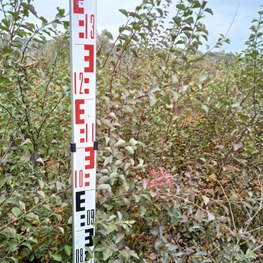 Спирея Вангутта (Vanhouttei)