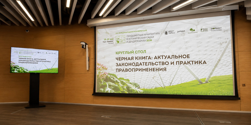 Итоги круглого стола АППМ по Черной книге флоры на конференции в «Зарядье»